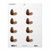 Zwei pinecones (Vorne)