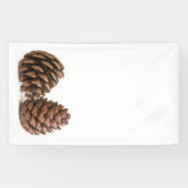 Zwei pinecones banner (Horizontal)