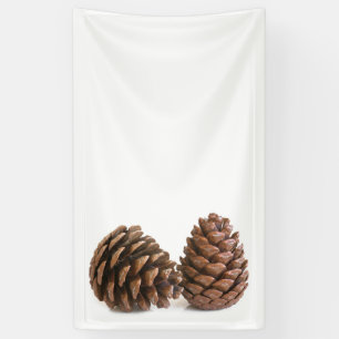 Zwei pinecones banner