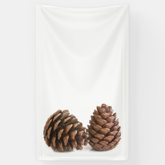 Zwei pinecones banner (Vertikal)