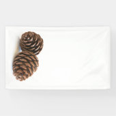 Zwei pinecones banner (Horizontal)