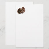 Zwei pinecones briefpapier (Vorne/Hinten)