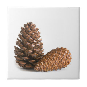 Zwei pinecones fliese