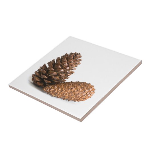 Zwei pinecones fliese (Seite)