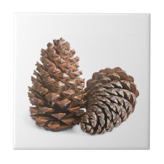 Zwei pinecones fliese (Vorderseite)