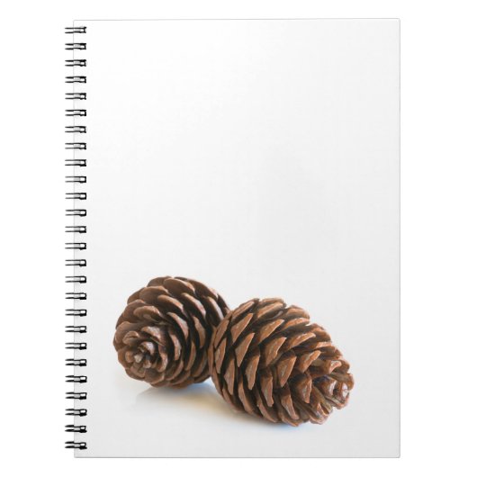Zwei pinecones notizblock (Vorderseite)