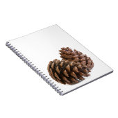 Zwei pinecones notizblock (Rechte Seite)
