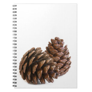 Zwei pinecones notizblock