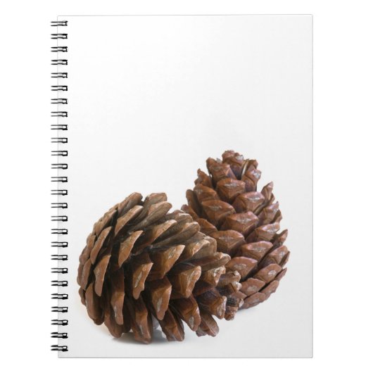 Zwei pinecones notizblock (Vorderseite)