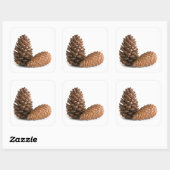 Zwei pinecones quadratischer aufkleber (Blatt)