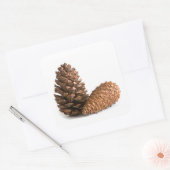 Zwei pinecones quadratischer aufkleber (Umschlag)