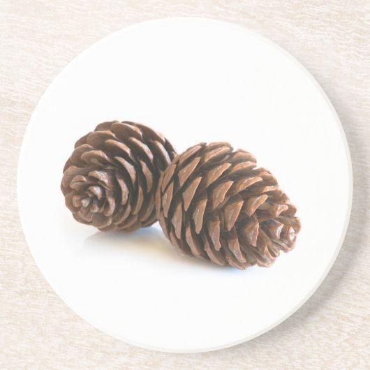 Zwei pinecones sandstein untersetzer (Vorne)