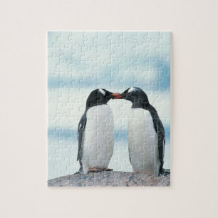Zwei Pinguine, die Schnäbel berühren Puzzle
