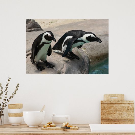 Zwei Pinguine Foto Poster (Küche)