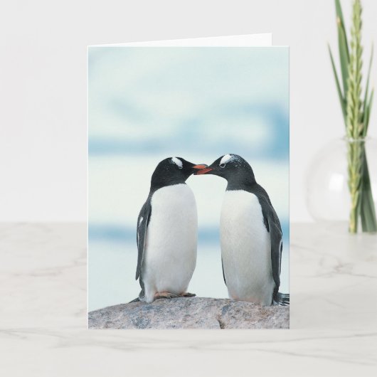 Zwei Pinguine mit Berührungsbaken Karte (Vorderseite)