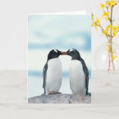 Zwei Pinguine mit Berührungsbaken Karte (Gelbe Blume)