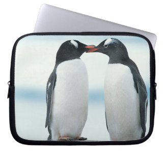 Zwei Pinguine mit Berührungsbaken Laptopschutzhülle