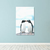 Zwei Pinguine mit Berührungsbaken Leinwanddruck (Insitu (Holzboden))
