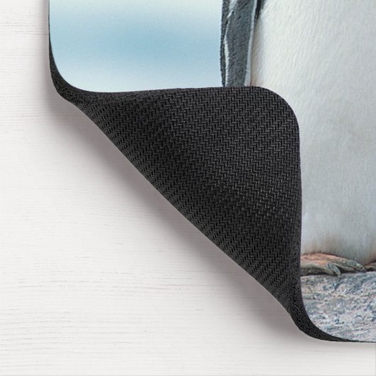 Zwei Pinguine mit Berührungsbaken Mousepad (Ecke)