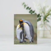 Zwei Pinguine Postkarte (Stehend Vorderseite)