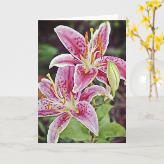 Zwei Pink Lilies Scripture Card Philippianer 4:19 Karte (Gelbe Blume)