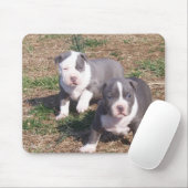 ZWEI PITBULL WELPEN MOUSEPAD (Mit Mouse)