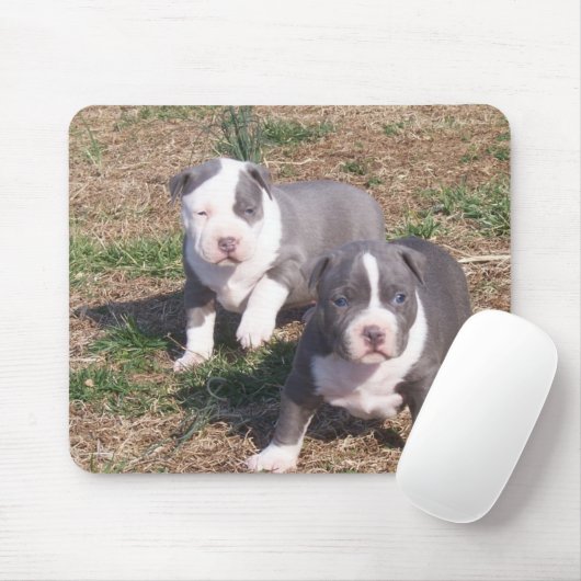 ZWEI PITBULL WELPEN MOUSEPAD (Mit Mouse)