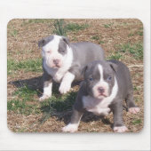 ZWEI PITBULL WELPEN MOUSEPAD (Vorne)