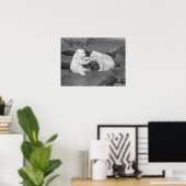 Zwei Polar Bären Cubs Poster (Heimbüro)
