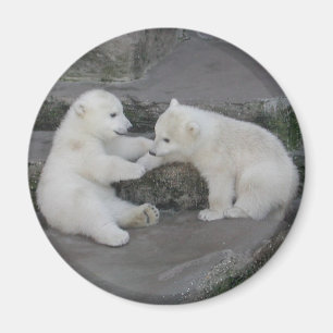 Zwei Polarbärchen Magnet