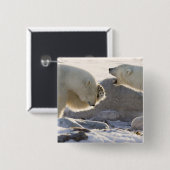 Zwei Polarbären Button (Vorne & Hinten)