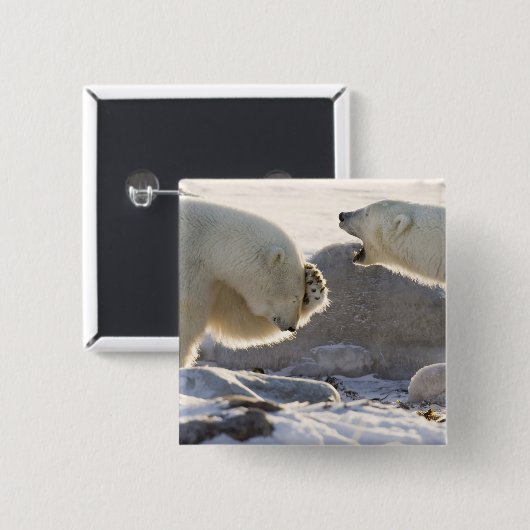 Zwei Polarbären Button (Vorne & Hinten)