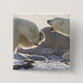 Zwei Polarbären Button (Vorderseite)