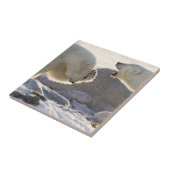 Zwei Polarbären Fliese (Seite)