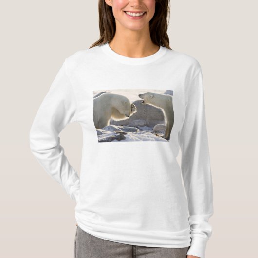 Zwei Polarbären T-Shirt (Vorderseite)