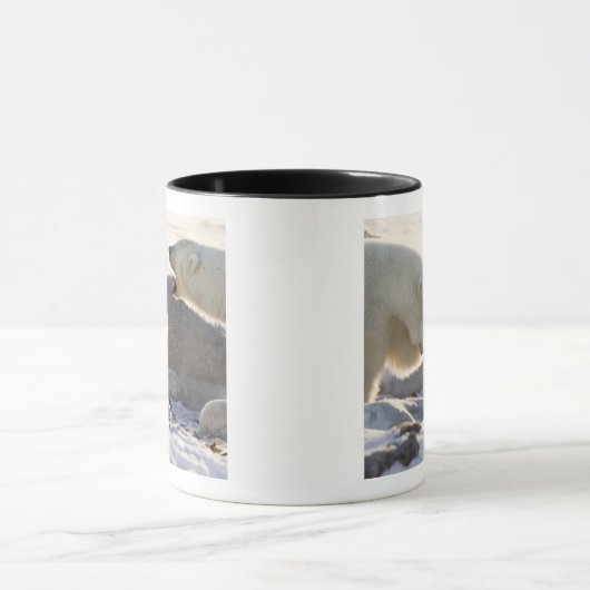 Zwei Polarbären Tasse (Zentrum)