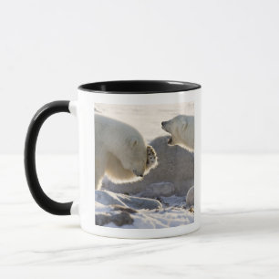 Zwei Polarbären Tasse