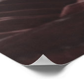 Zwei Poster (Ecke)