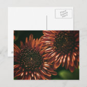 Zwei Postkarte (Vorne/Hinten)