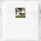 zwei quadratischer aufkleber (Tasche)