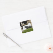zwei quadratischer aufkleber (Umschlag)