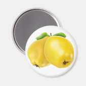 Zwei Quitfrüchte Magnet (Vorderseite/Rückseite)