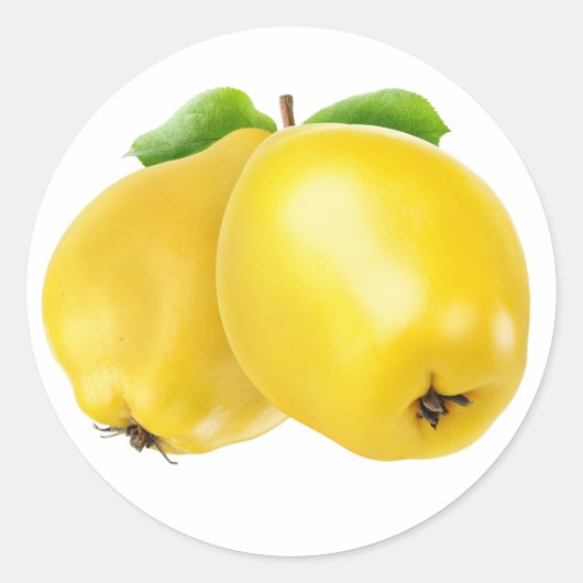 Zwei Quitfrüchte Runder Aufkleber (Vorderseite)