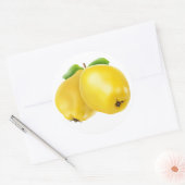 Zwei Quitfrüchte Runder Aufkleber (Umschlag)