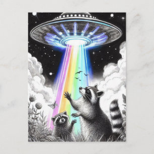 Zwei Raccoons und Rainbow UFO auf der Wildblume Postkarte