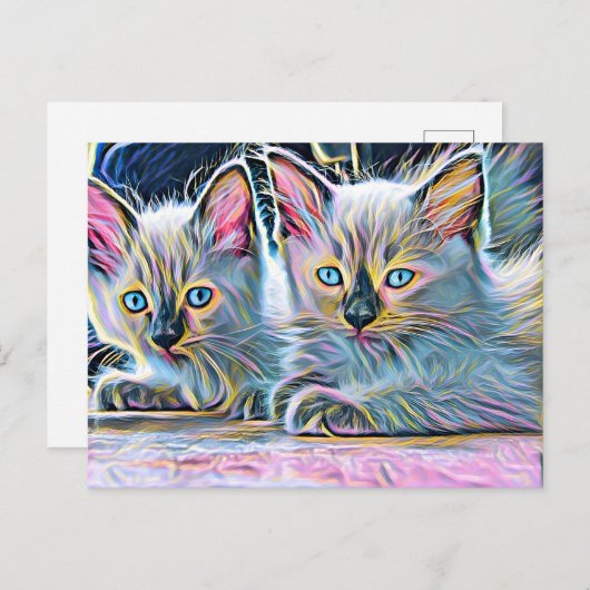 Zwei Ragdoll-Kätzchen Postkarte (Vorne/Hinten)