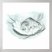 Zwei Ratten in der Hand Poster (Vorne)