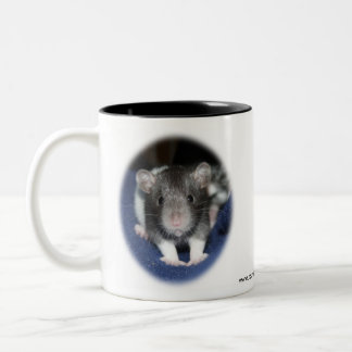 Zwei rattie Tasse
