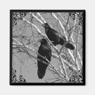 Zwei Ravens Gothic-Magnete Magnet