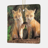 Zwei Red Fox Welpen vor ihren Den Keramikornament (Links)